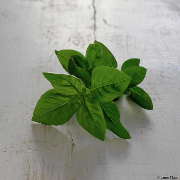 PHOTO CULINAIRE labelaure blog culinaire green geste ecologique basilic sauver la planete