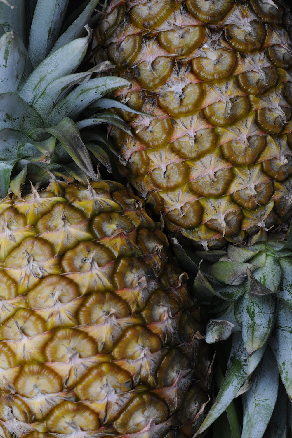 blog labelaure food stylist photographe culinaire empreinte carbone score carbone CO2 elevé ananas