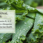 découvrez comment utiliser la partie souvent jetée du poireau pour sublimer vos plats tout en réduisant vos dépenses grâce à une astuce simple et efficace.